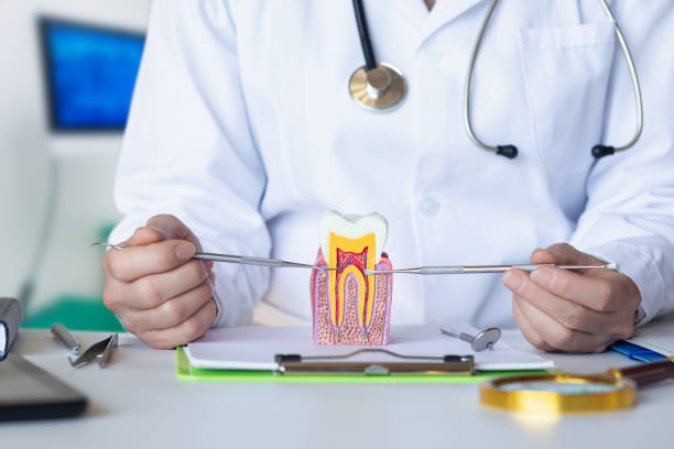 Best Emergency Orthodontic Repairs in Rowlett, TX